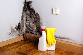 Best Industrial Mold Remediation in Brentwood, PA